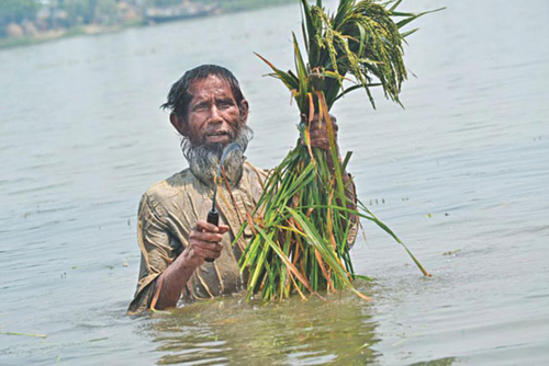 Flash Flood and Livelihoods